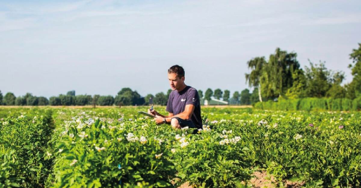 werken: zon huid | Arboportaal