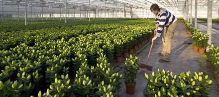 Land- en tuinbouw